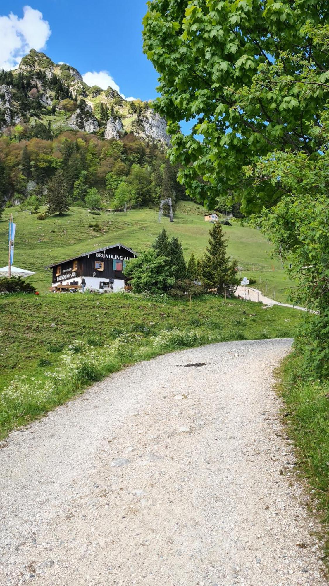 Bruendling-Alm Berggasthof Auf 1167M Auf Dem Hochfelln Bergen  Exterior photo